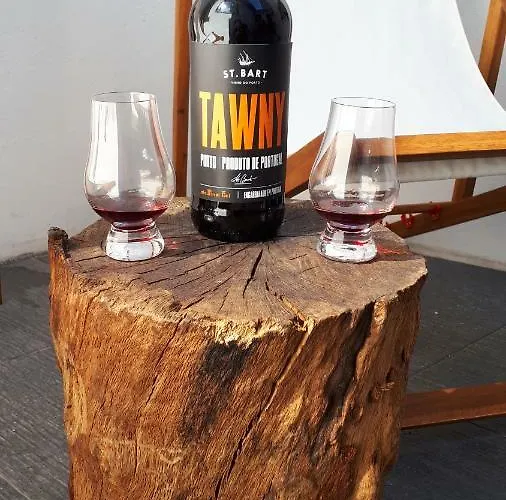 公寓 Tmb Station House 波尔图